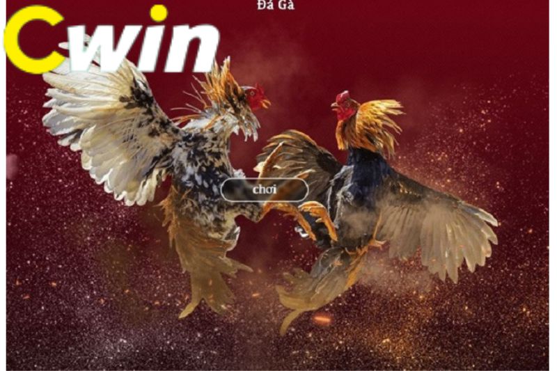Hãy tận hưởng trải nghiệm chơi game tuyệt vời nhất tại GoSbotop Club! - Sbotop