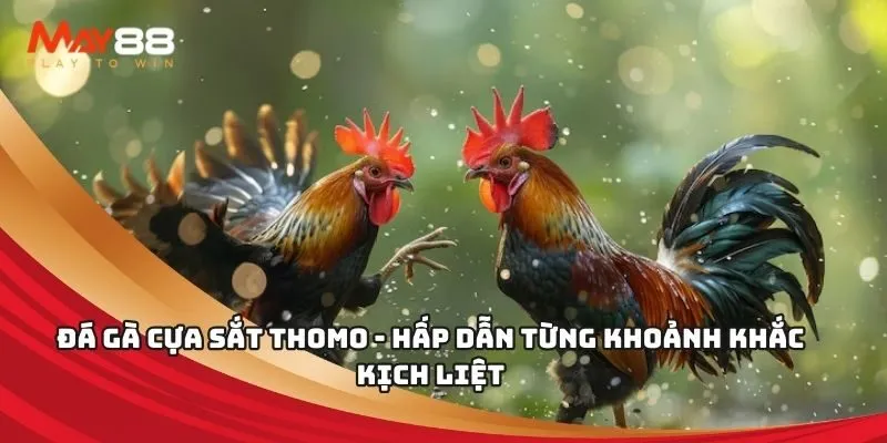 Các trò chơi có sẵn trong thư viện trò chơi của Five888 Club - Five888