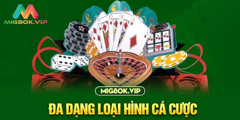 Một số chương trình giải trí cấp Natra88 - Natra88