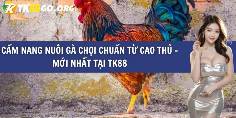 Nhược điểm của các kênh cá cược cấp Sun52 - Sun52