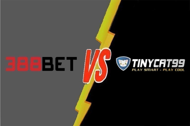 Trên trang web chơi game Dk88 Fun, bạn có thể tận hưởng trải nghiệm chơi game công bằng và chính trực - Dk88