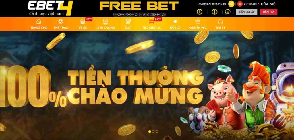 Việc tham gia các cuộc thi thể thao cấp Bay789 có phải là bất hợp pháp không? - Bay789