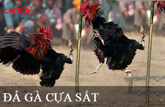 Những điều cần biết khi chơi game trực tuyến xếp hạng Ta88 - Ta88