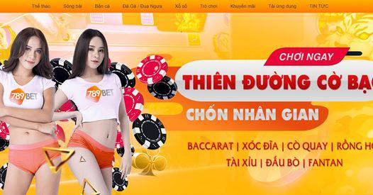 Có kinh nghiệm giảng dạy các khóa học trực tuyến cấp độ D9bet - D9bet