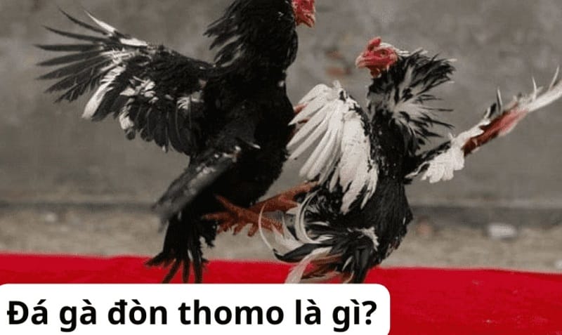 Tôi cần làm gì để đăng ký trở thành thành viên của C168? - C168