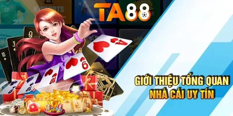 Thông tin về trang web trò chơi chọi gà Az888 - Az888
