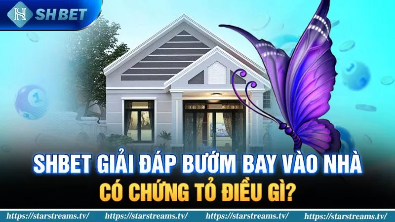 Những lợi ích to lớn khi trở thành nhà phân phối 789P - 789P