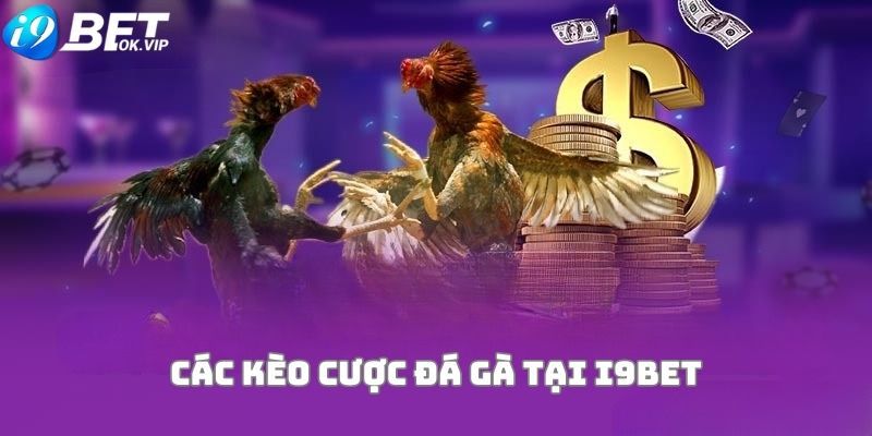 11Vn sẽ cập nhật các liên kết đăng ký và đăng nhập vào năm 2026 - 11Vn