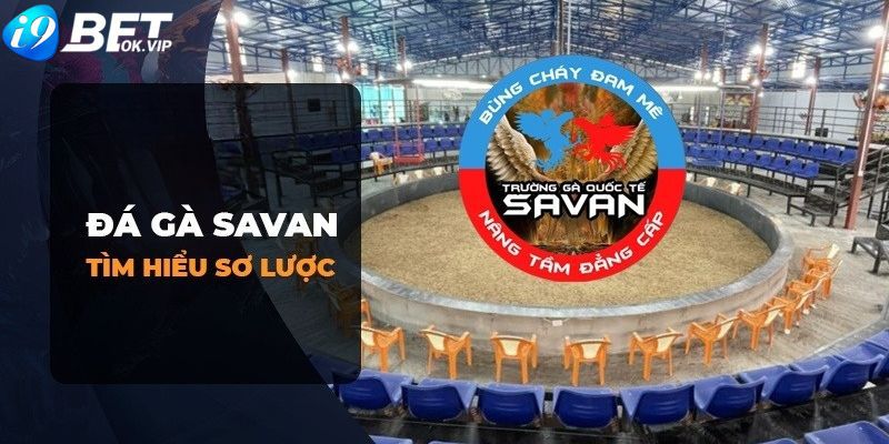 Nhà phát triển trò chơi sẽ tặng 50000 token Viu88 - Viu88
