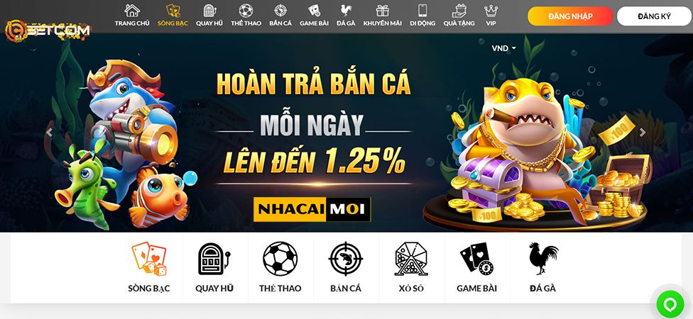 Ví True Wallet được xếp hạng Df999, không giới hạn số tiền rút tối thiểu - Df999