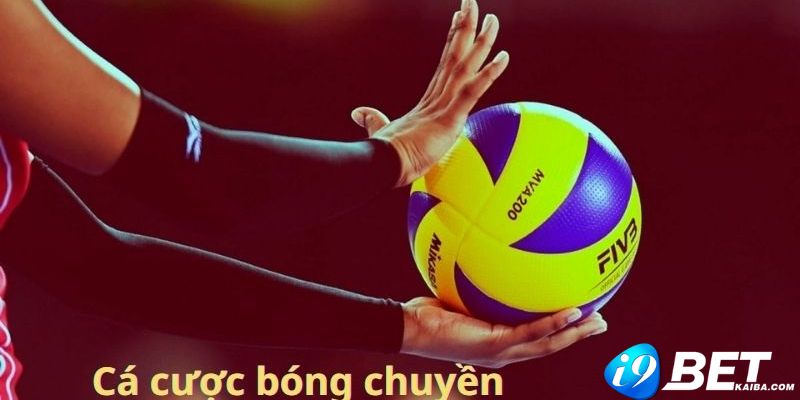 Bigbet88 có uy tín tốt và hoạt động hợp pháp, minh bạch - Bigbet88