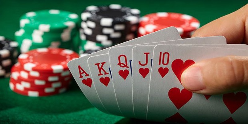 K9win Card Game cung cấp những trò chơi nào? - K9win