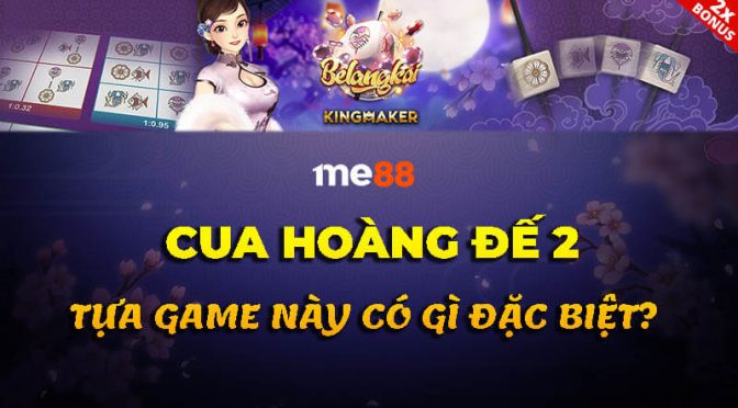 Sbty và thông tin liên quan - Sbty