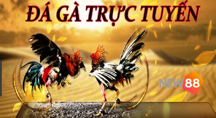 Thông tin về trang web cổng game V7sb - V7sb