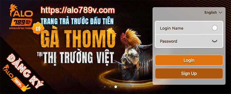 Tổng quan về các công viên giải trí được xếp hạng Pho88 mà bạn nên biết - Pho88